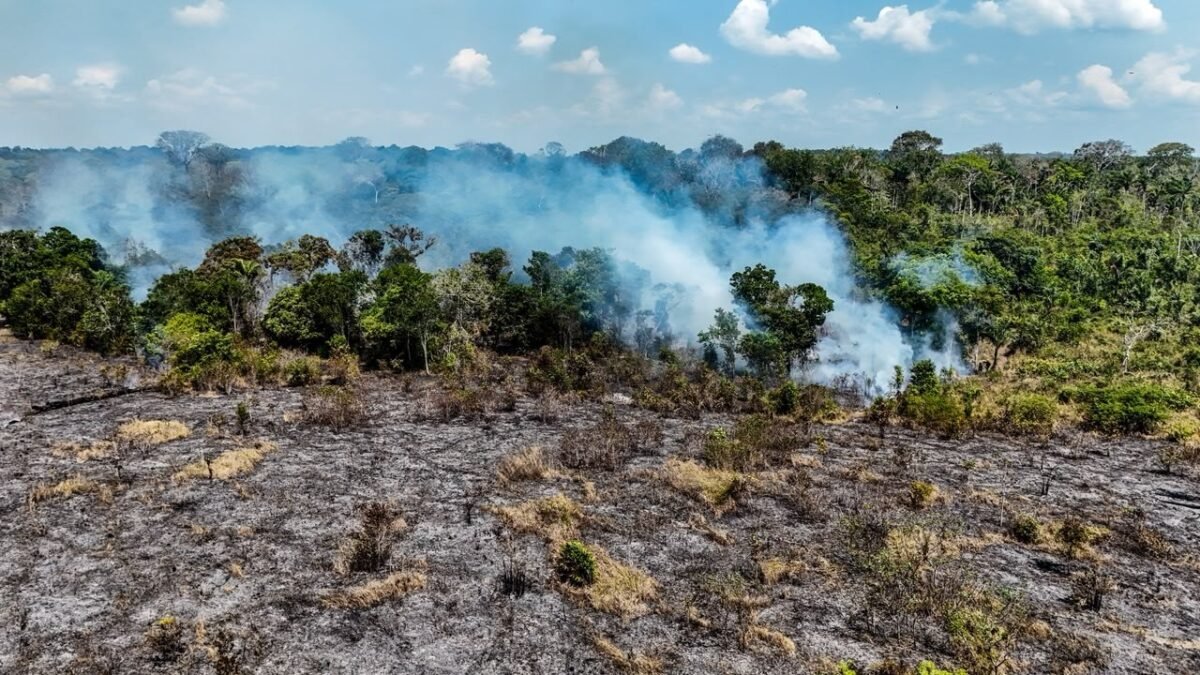 Incêndio em Itacoatiara completa 17 dias e devasta mais de mil hectares