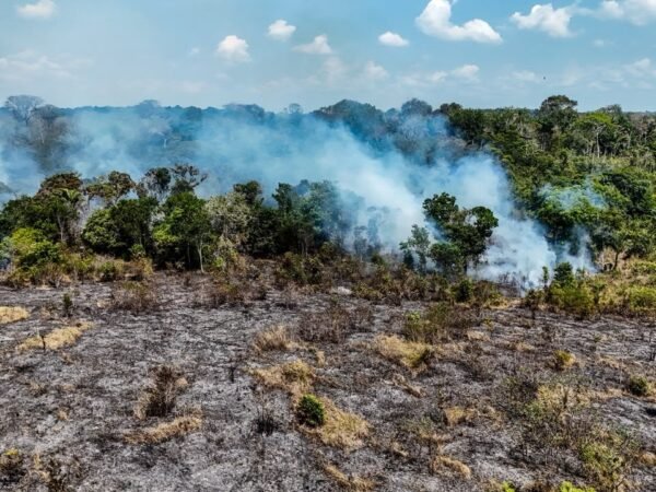 Incêndio em Itacoatiara chega ao 17º dia e afeta mais de 1,1 mil hectares
