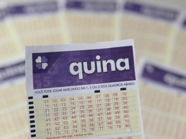 Três apostas do Paraná faturam na Quina e prêmio acumula