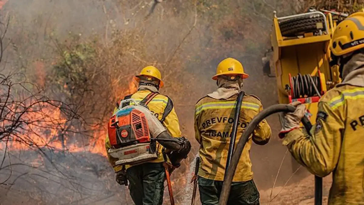 Amazonas recebe reforço aéreo e federal contra queimadas