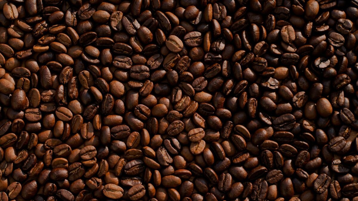 Rondônia domina final de concurso nacional de café com 13 finalistas