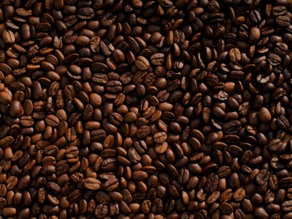 Rondônia domina final de concurso nacional de café com 13 finalistas