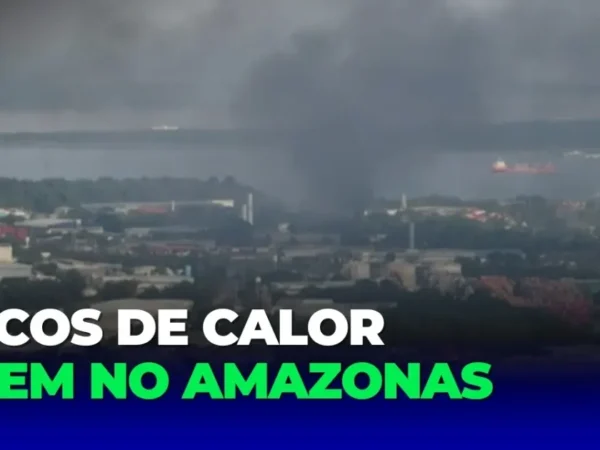 Operação conjunta combate incêndios florestais no Amazonas