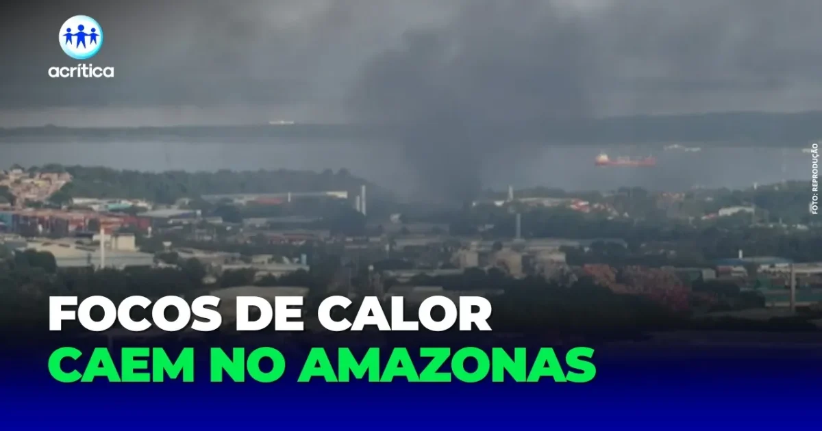 Operação conjunta combate incêndios florestais no Amazonas