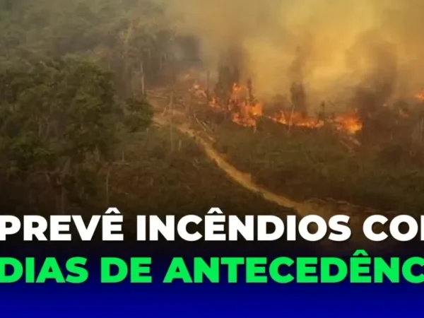IFAM cria inteligência artificial para prever incêndios na floresta