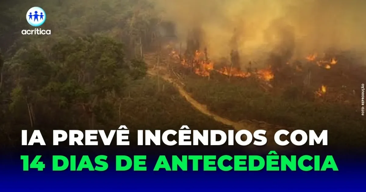 IFAM cria inteligência artificial para prever incêndios na floresta