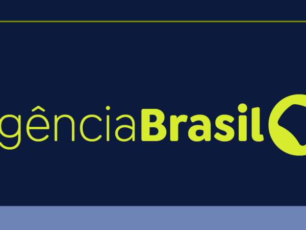 Ibama apaga 229 incêndios e reforça combate no Amazonas
