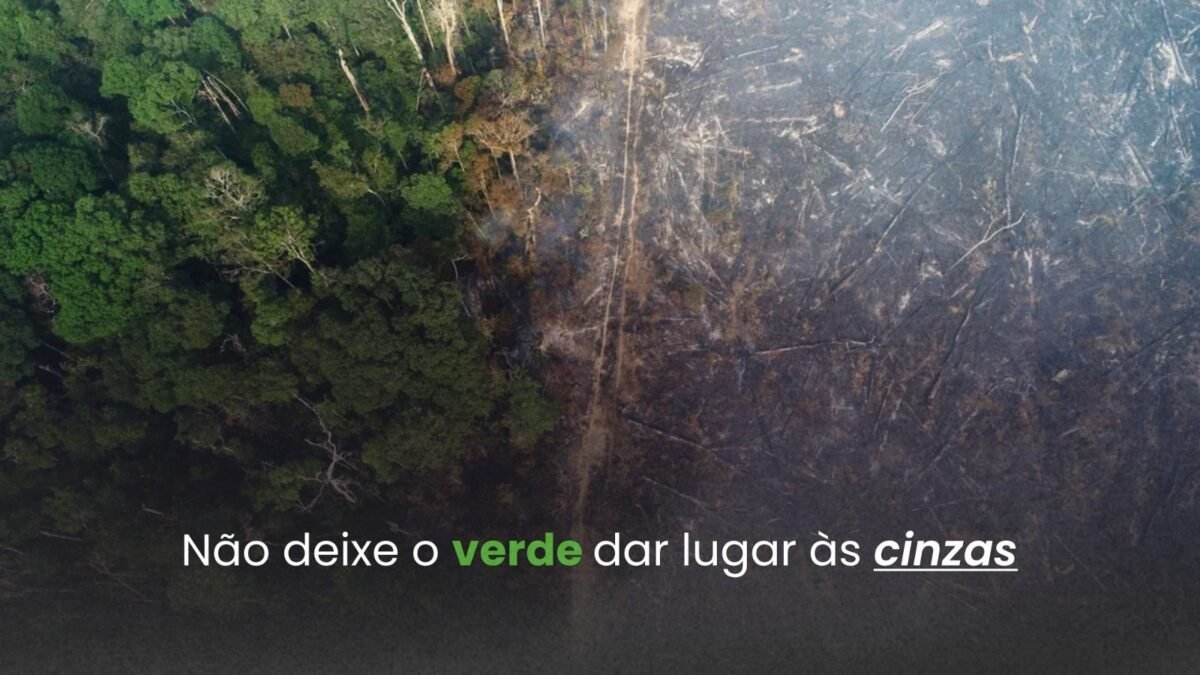 Fundação Rede Amazônica lança campanha contra incêndios