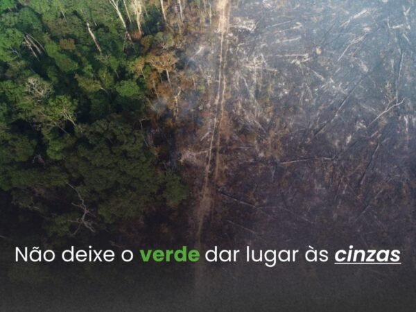 Campanha alerta contra o risco de queimadas na Amazônia