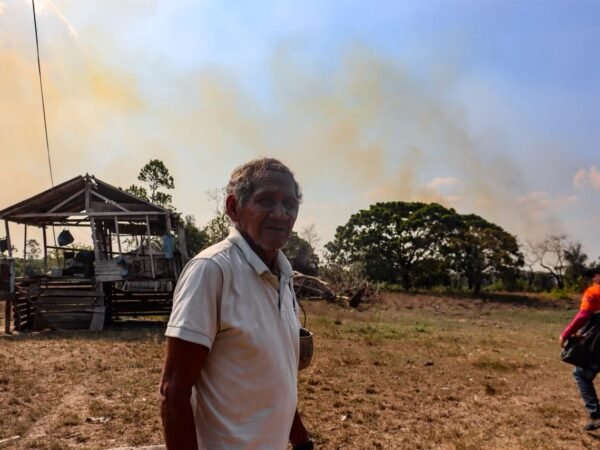 Incêndio florestal atinge 830 hectares e assusta moradores em Itacoatiara
