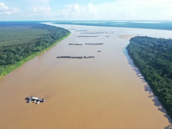 MPF processa Rondônia e estados por mercúrio na Amazônia