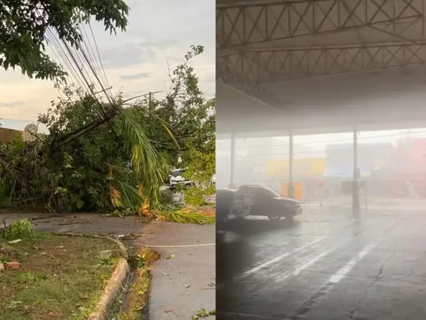 Fortes temporais causam estragos e seca afeta ribeirinhos em Rondônia