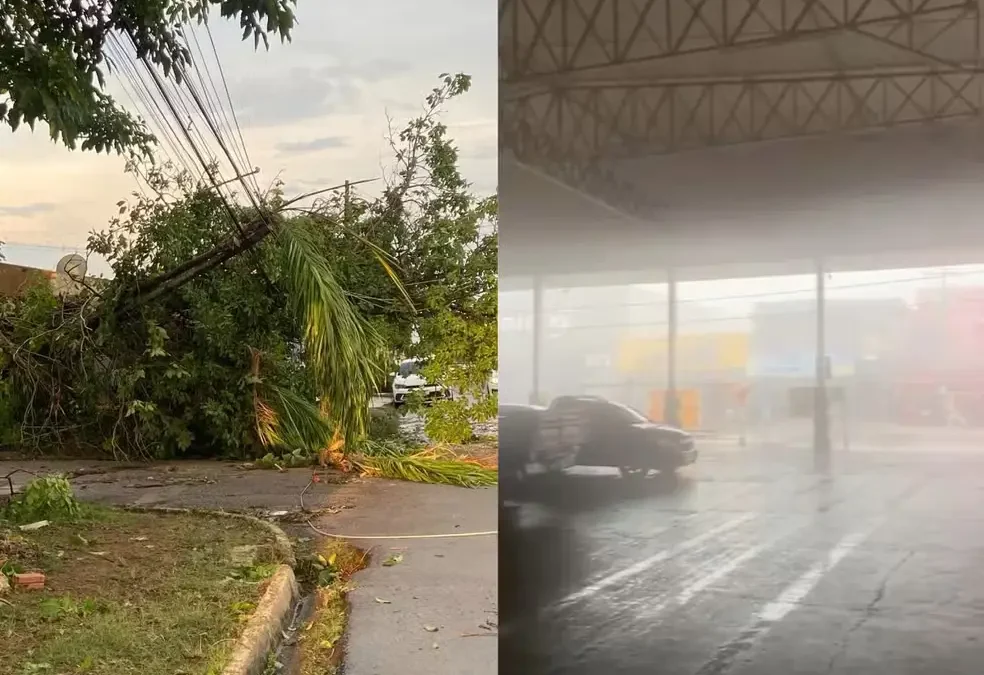 Fortes temporais causam estragos e seca afeta ribeirinhos em Rondônia
